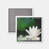 Rechercher un aimant de paix (Recto/Verso)