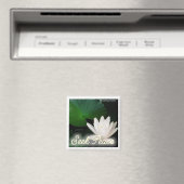 Rechercher un aimant de paix (In Situ (Lave-vaisselle))