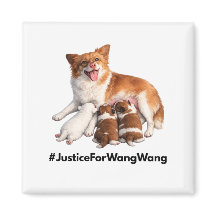 Recht voor Wang Wang