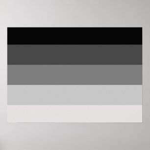 RECHTE ORIGINELE VLAG - .PNG POSTER