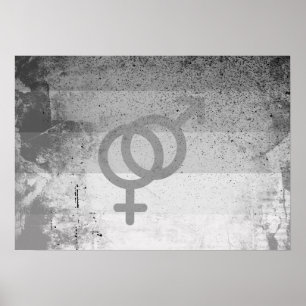 RECHTE VLAG ORIGINEEL MET SYMBOOL -.png Poster
