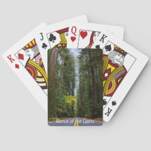 Rechte weg door nevelige Redwood-bossen Pokerkaarten