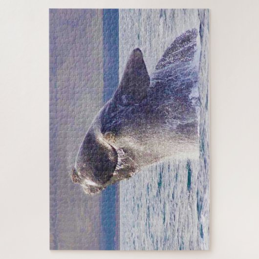 Rechterwalvis Legpuzzel (Verticaal)