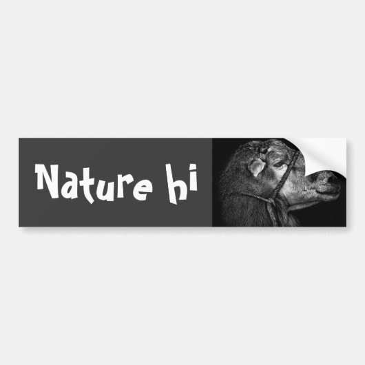 rechts volgend bumpersticker (Voorkant)