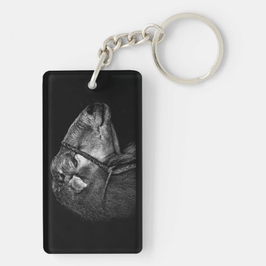 rechts volgend sleutelhanger (achterkant)