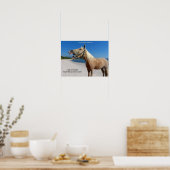 Rechtstreeks vanaf de mond van het paard 16 x 12 i poster (Keuken)