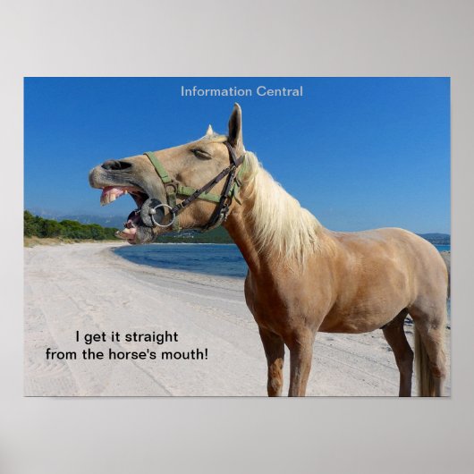 Rechtstreeks vanaf de mond van het paard 16 x 12 i poster (Voorkant)