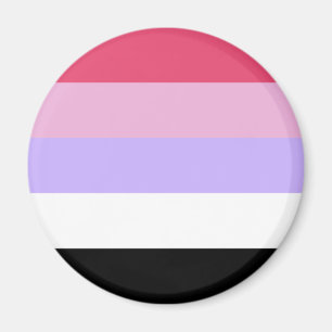 Reciproseksuele Pride-vlag Magneet