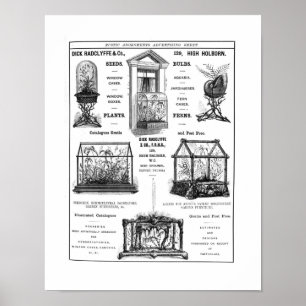 Reclame voor "Dick Radclyffe & Co." Rustische adve Poster