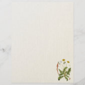 reclamebrochure voor Dandelion Flyer (Voorkant)