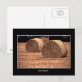 Récolte | Cartes postales (Devant / Derrière)