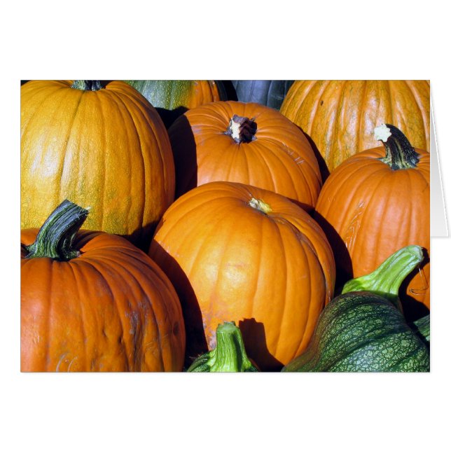 Récolte de citrouille (Devant horizontal)