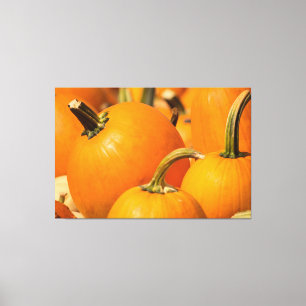 RÉCOLTE DE CITROUILLES 60 X 40 TOILE EMBALLÉE