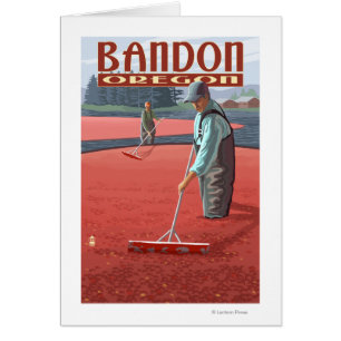 Récolte de marais de canneberge - Bandon, Orégon