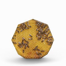 Honey Bee Honeypeb