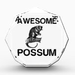 RÉCOMPENSE POSSUM AWESOME<br><div class="desc">comic,  love,  birthday,  funny,  humour,  cute,  vintage sports,  couples</div>