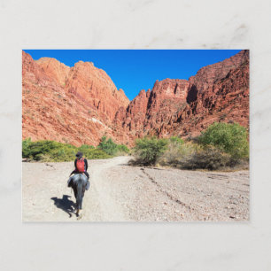 Recorriendo los valles de Tupiza, Bolivia. Briefkaart