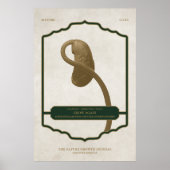 RECROÎTRE - MATURE DESIGN JOURNAL POSTER (Devant)