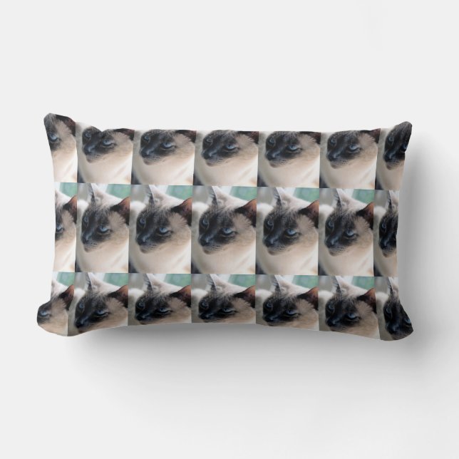 Rectangle Aloof Siamese Chat Lumbar Coussin (Recto)