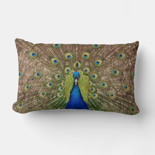 Rectangle Beau paon et plumes imprimer coussin (Recto)