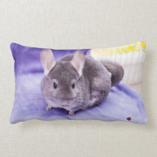 Rectangle Bibelot ! - Coussin de chinchilla