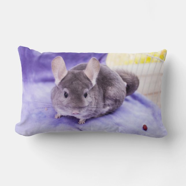 Rectangle Bibelot ! - Coussin de chinchilla (Recto)