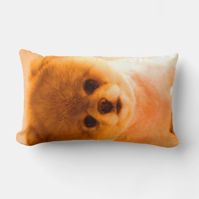 Rectangle Cadeau lombaire de coussin de photo (Recto)