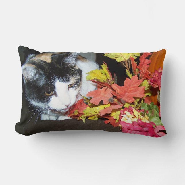 Rectangle Calico Cat Coussin de décoration d'automne (Recto)