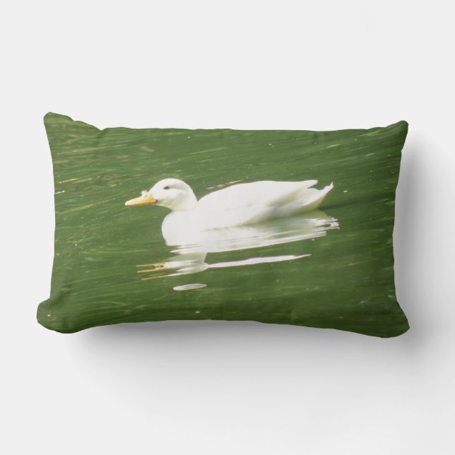 Rectangle Canard sur le Coussin d'eau (Recto)