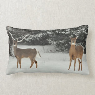 Rectangle Cerfs communs dans le coussin de neige