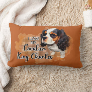 Rectangle Coussin