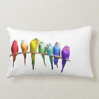 Rectangle Coussin blanc de coussin de PERRUCHES