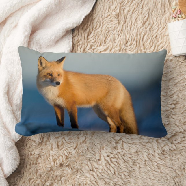 Rectangle Coussin Brown Fox Lumbar (Couverture)