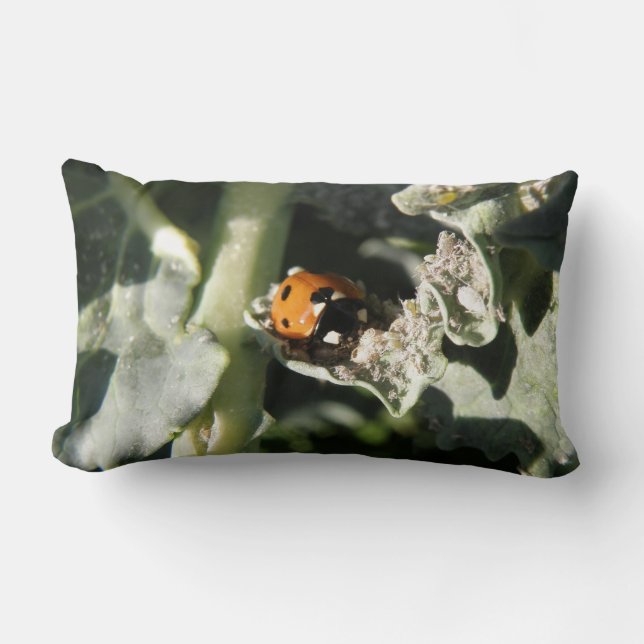 Rectangle Coussin coccinelle britannique à 7 points (Recto)