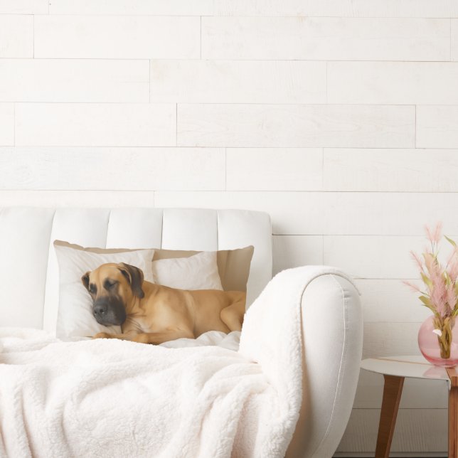 Rectangle Coussin confortable Great Dane Lumbar (Canapé)