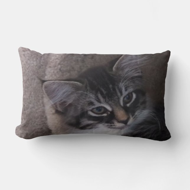 Rectangle Coussin Cute Kitten (Recto)