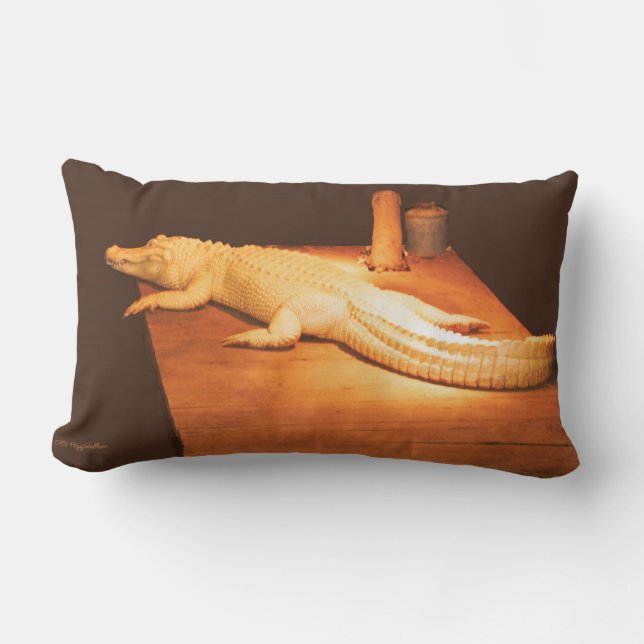 Rectangle Coussin d'alligator albinos (Recto)