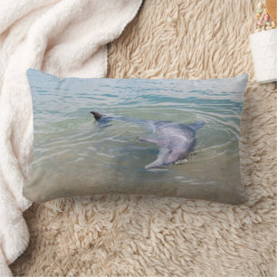 Rectangle Coussin dauphin joueur et curieux
