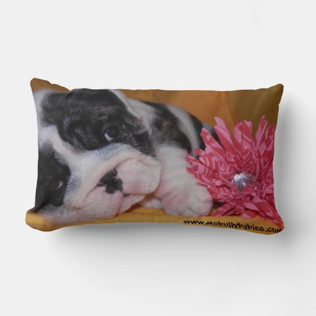 Rectangle Coussin de bouledogue d'amour de despote (Recto)