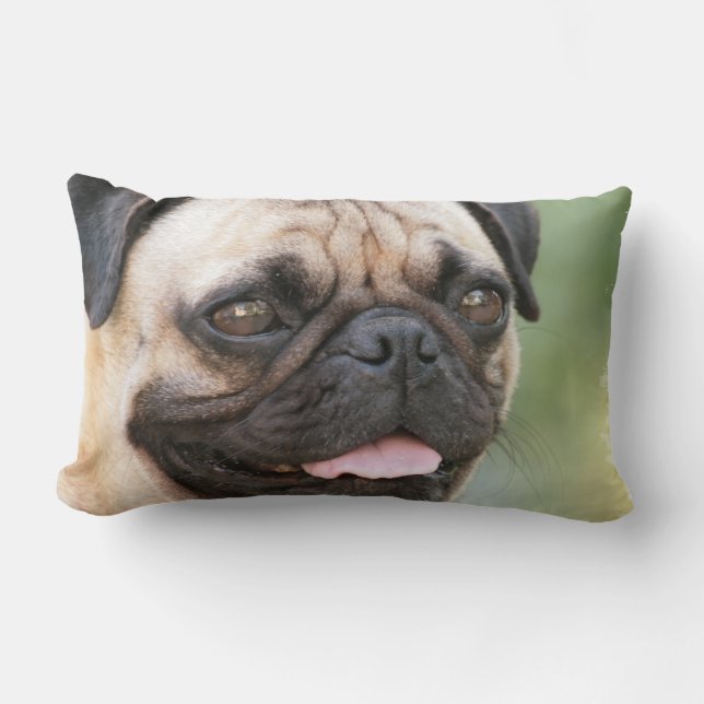 Rectangle Coussin de carlin (Recto)
