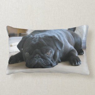 Rectangle Coussin de Carlin personnalisé, chiot de carlin no