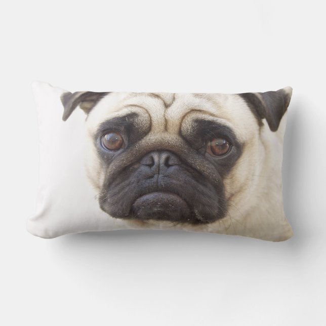 Rectangle Coussin de chien de carlin (Recto)