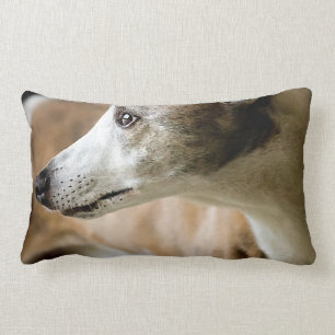 Rectangle Coussin de chien de lévrier
