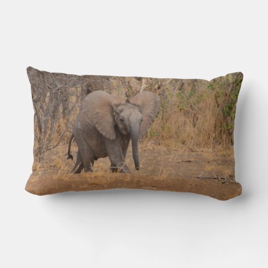 Rectangle Coussin de jet de bébé guépard et éléphant (Verso)