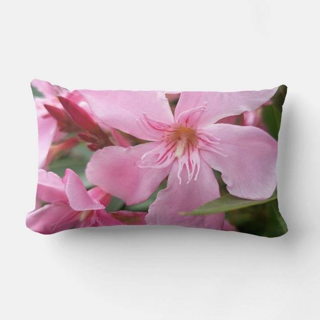 Rectangle Coussin de jet de fleur d'oléandre rose | Botani é (Recto)