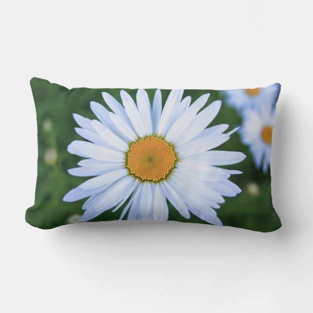 Rectangle Coussin de marguerite (Recto)