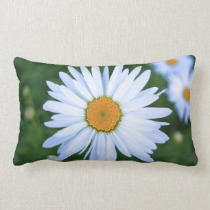 Rectangle Coussin de marguerite