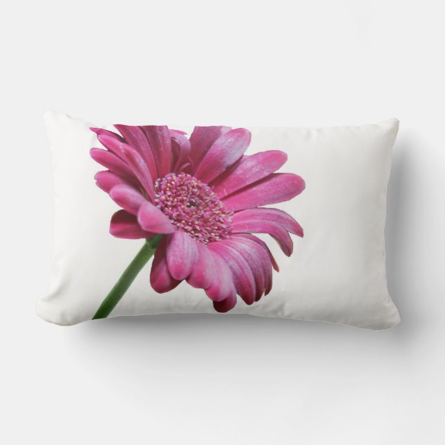 Rectangle Coussin de marguerite de Gerbera (Recto)