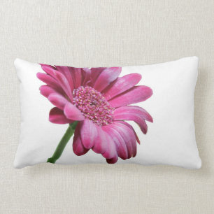 Rectangle Coussin de Marguerite Gerbera