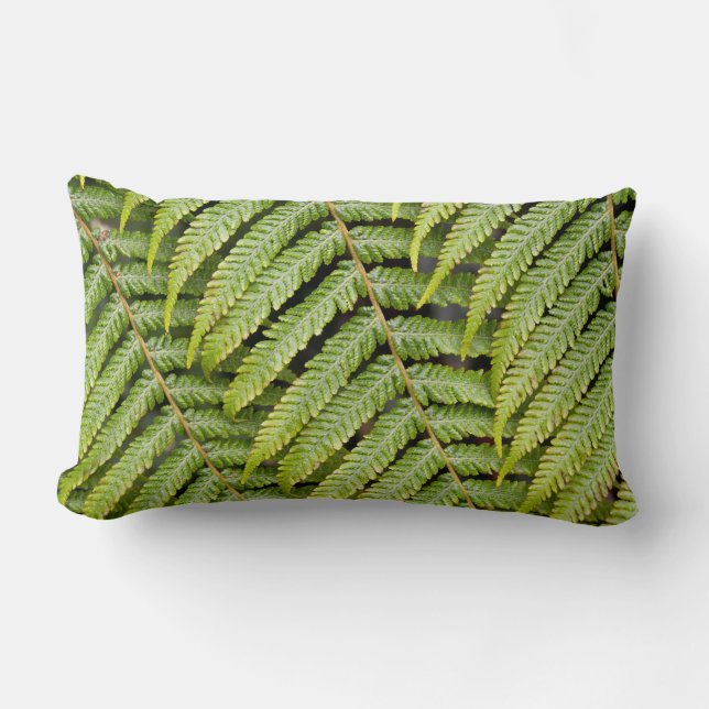 Rectangle Coussin de motif de fougère (Recto)